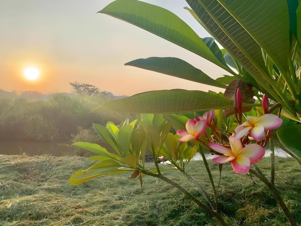 Pingview Villa Resort تاك المظهر الخارجي الصورة