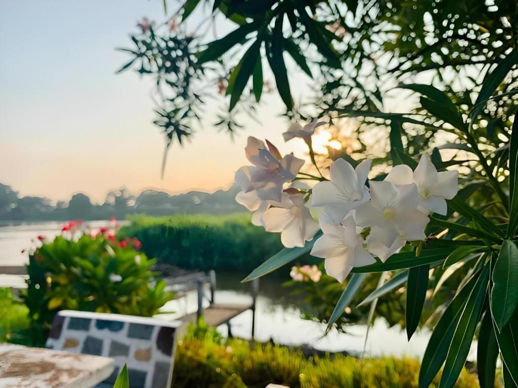 Pingview Villa Resort تاك المظهر الخارجي الصورة